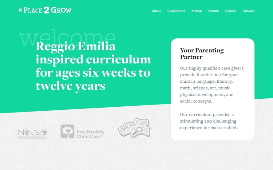 A Place 2 Grow
			website screenshot. The site headline is Reggio Emilia inspired curriculum for ages six weeks to twelve years. The pictured section of the site has
			a spring-green background and features logos of organizations to which A Place 2 Grow belongs.